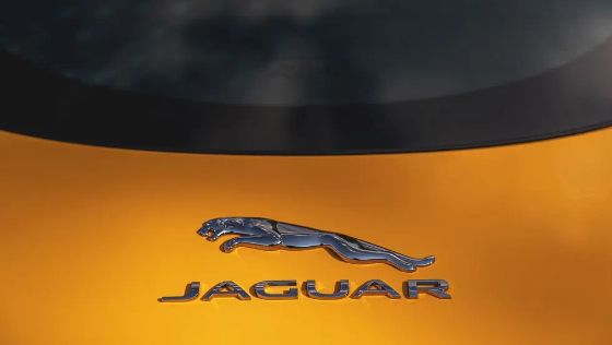 Jaguar F–Type Public Ngoại thất 016