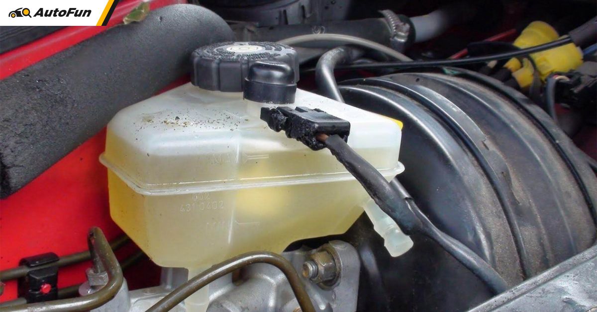 Những mẹo cần biết để 'quản trị' nước làm mát xe máy tại nhà mà bạn cần  biết! | AutoFun