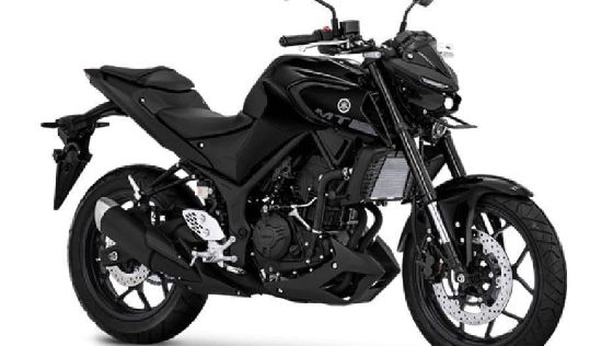 2021 Yamaha MT-25 Standard Màu sắc 001