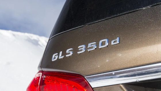 Mercedes GLS 350 Public Ngoại thất 007