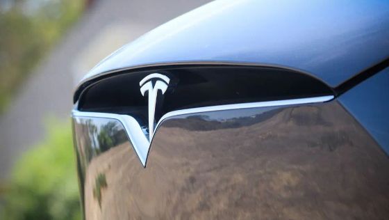 Tesla Model X Public Ngoại thất 006